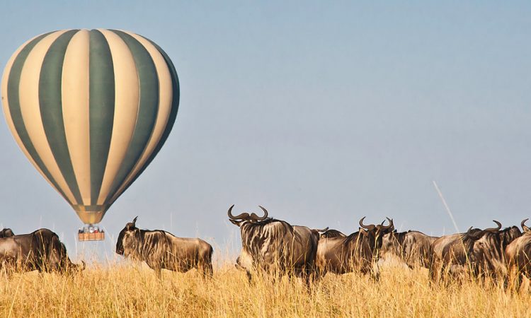 14 Day Ultimate Kenya Tour